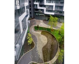 A courtyard with a grassy area and a concrete pathway.