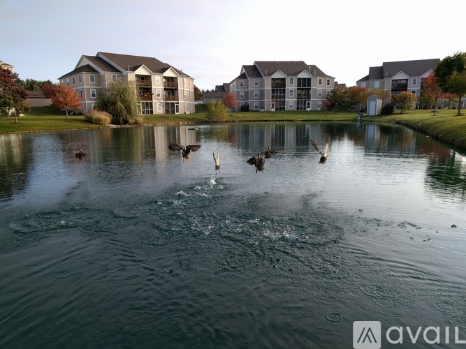 1526 Oakfield Dr 2 Beds Condo for Rent - Photo gallery 1