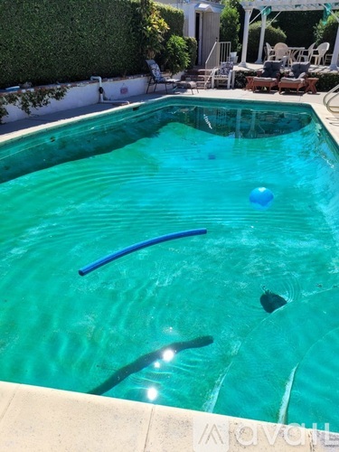 A blue ball is floating in a green pool.