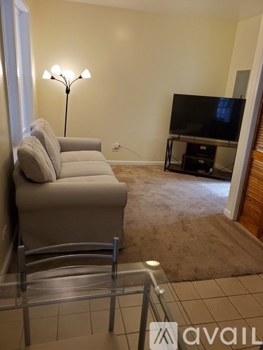 A living room with a grey couch and a television.