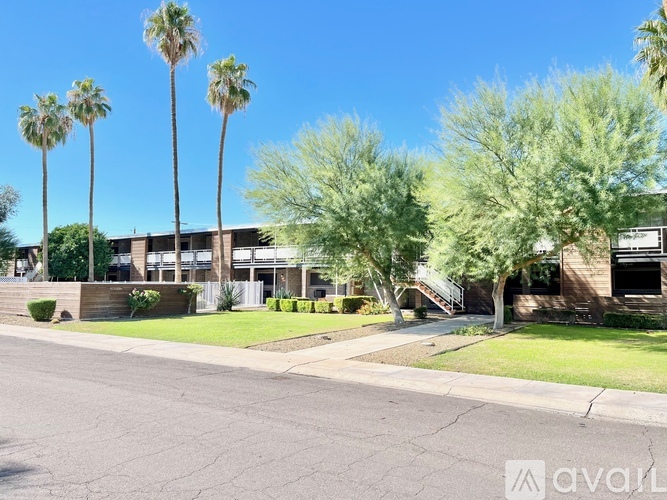 A street view of a residential area with palm trees and a building.