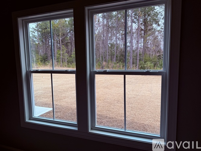 A window with a view of a forest and a grassy area.