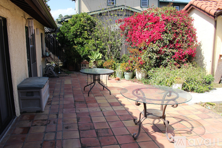 A patio with a glass table and chairs surrounded by green plants and trees.