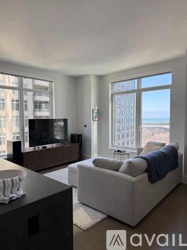 514 North Peshtigo Court 2 Beds Condo for Rent - Photo gallery 3