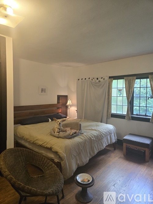 122 Burt Street 1 Apartment for Rent - Photo gallery 4