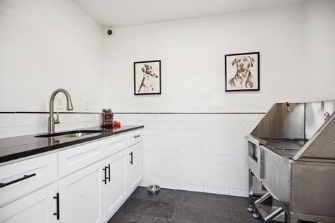 A kitchen with a sink and two pictures of dogs on the wall.