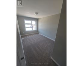 A carpeted room with a door and a window.