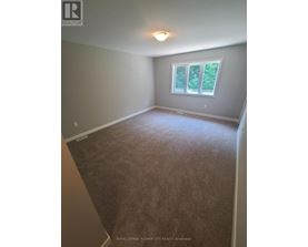 A room with a carpeted floor and a window showing trees outside.