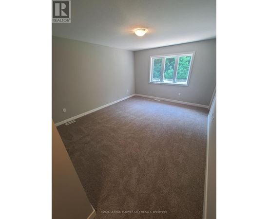 A room with a carpeted floor and a window showing trees outside.