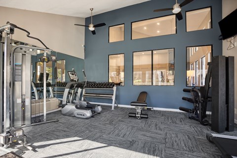 A gym with a variety of equipment including a treadmill, weights, and a bench.