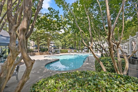 A pool surrounded by green bushes and trees.