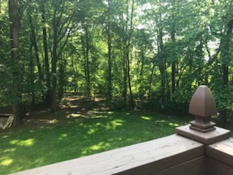 A small statue sits on a ledge overlooking a forest.