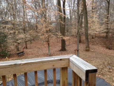 A wooden deck overlooks a forest with trees and fallen leaves.