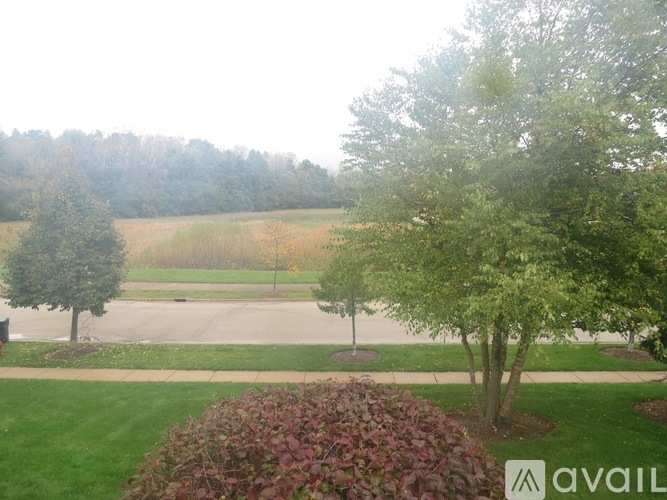 A view of a green lawn with trees and a road in the distance.