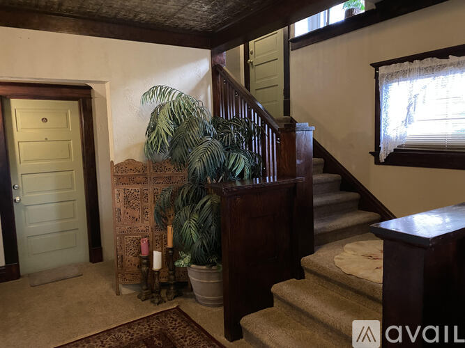 A staircase with a wooden banister and a potted plant on the landing.