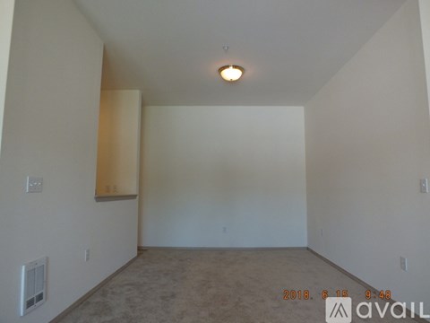 A room with a carpeted floor and a ceiling light.