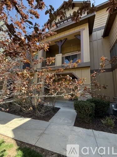 A tree with brown leaves is in front of a building.