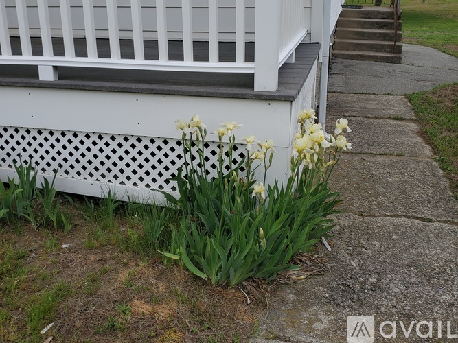 846 Pleasant St 2 Beds Single Family Home for Rent - Photo gallery 2