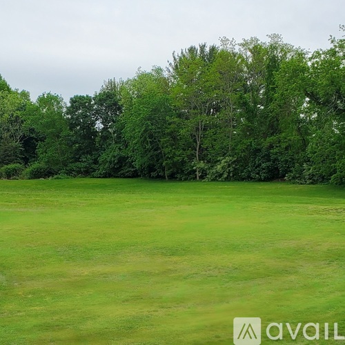 A grassy field with trees in the background.