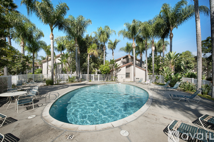 A pool surrounded by palm trees and lounge chairs.