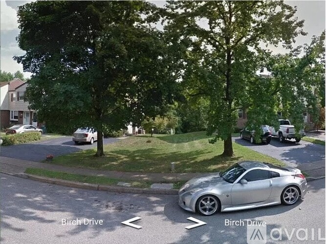 A silver car is parked on Birch Drive.
