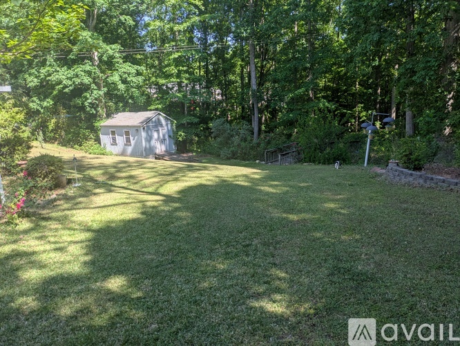 A backyard with a shed and trees.