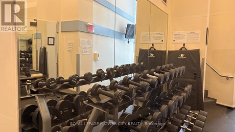 A gym with a row of dumbbells.