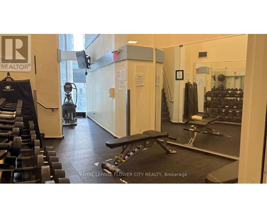 A gym with a variety of equipment including weights and cardio machines.