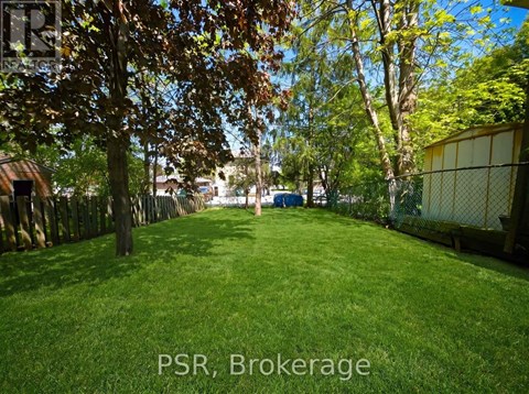 A backyard with a fence and trees.