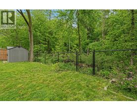 A backyard with a fence and a shed.