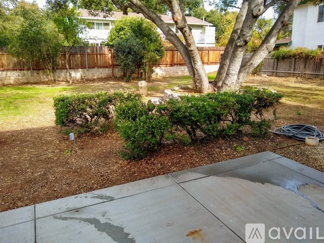 1275 Mariano Dr 4 Beds Single Family Home for Rent - Photo gallery 5