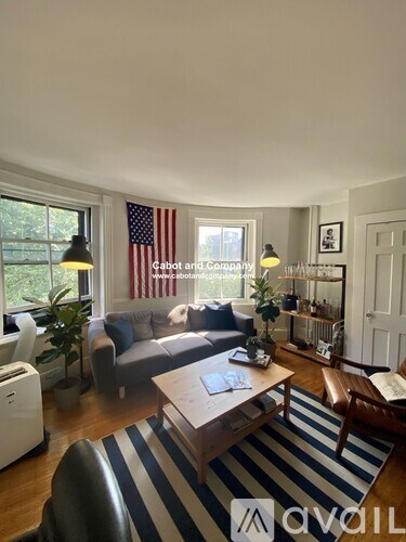 A living room with a striped rug and a grey couch.