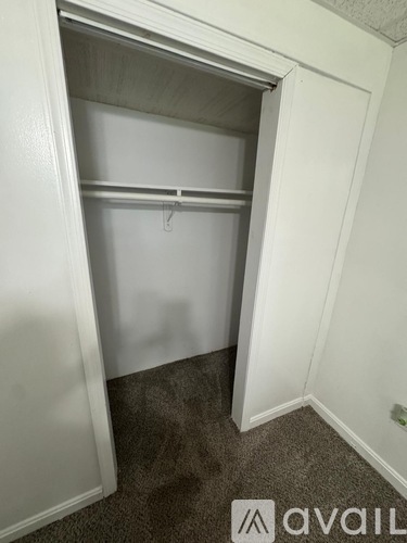 A small, white closet with a carpeted floor and a hanger on the back wall.