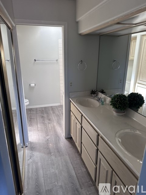 2022 Merrill Lane Unit 3A 3 Beds Apartment for Rent
