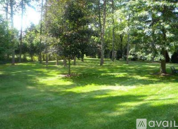 4 Pine Lane 4 Beds Single Family Home for Rent - Photo gallery 3