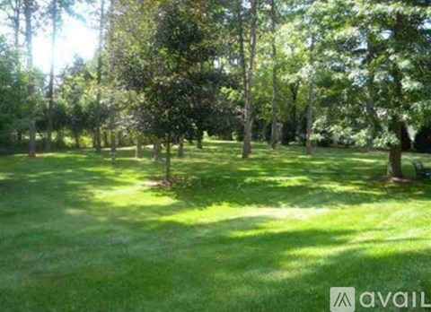 A grassy field with trees in the background and a bench on the right.