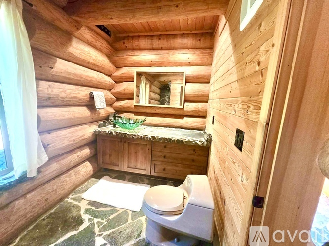A wooden bathroom with a toilet and a mirror.