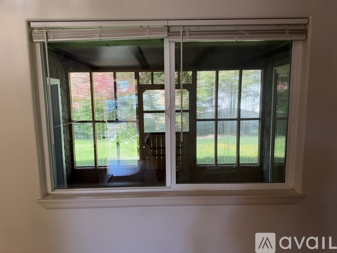A window with a view of a green lawn and trees.