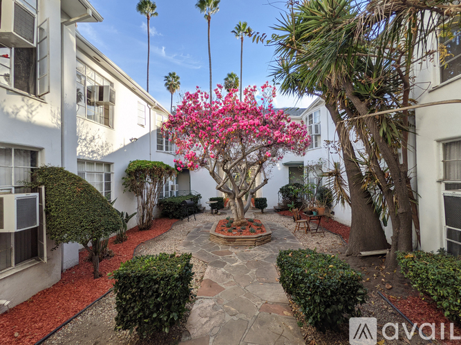 A tree with pink flowers is in the middle of a courtyard.
