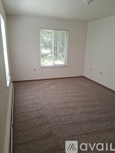 A room with a carpeted floor and a window.