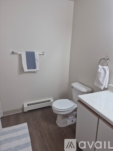 A bathroom with a toilet, towel rack, and a striped rug.