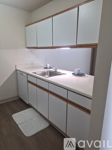 A kitchen with white cabinets and a sink.