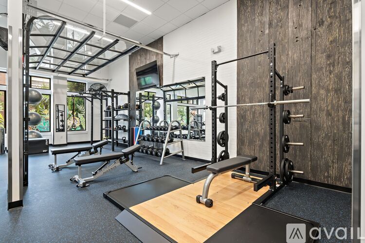 A gym with a variety of equipment including a squat rack, bench, and weights.