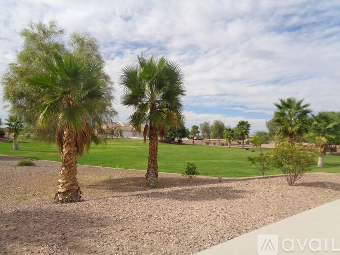 A park with palm trees and a gravel ground.