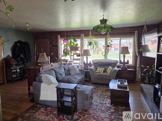 A living room with a grey couch and a rug.