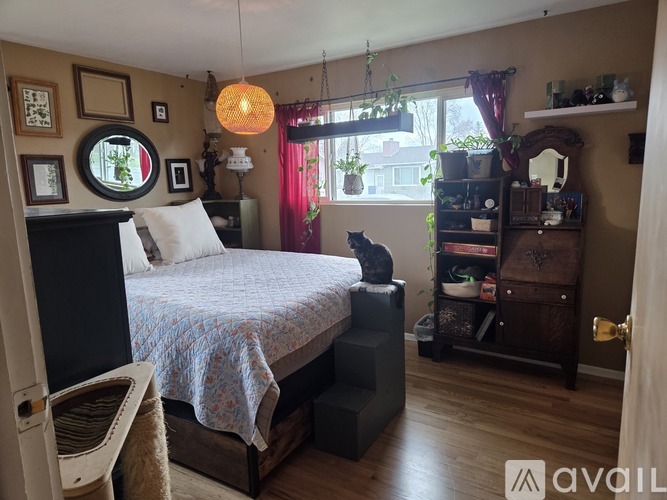 A bedroom with a bed, a dresser, and a cat.