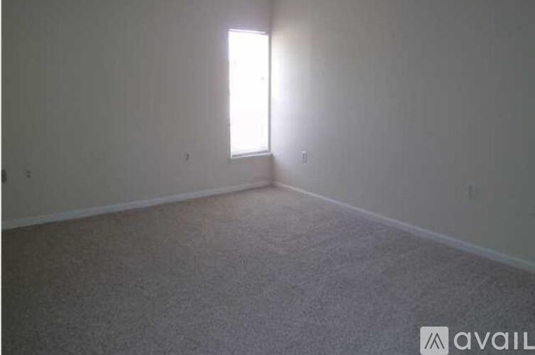 A room with a carpeted floor and a window letting in light.
