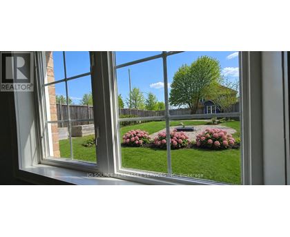 A window with a view of a backyard with a bench and flowers.