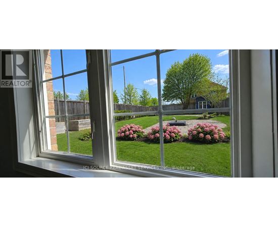 A window with a view of a backyard with a bench and flowers.