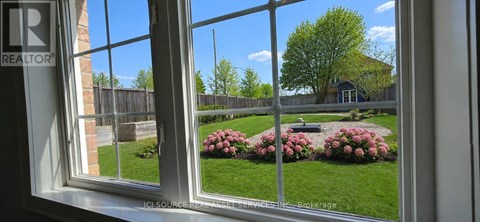 A window with a view of a backyard with a bench and flowers.